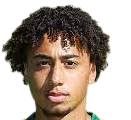 https://img.jundingdz.com/img/football/player/347a6d58ae7ec0425a4d42bc9215c411.png