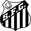 https://img.jundingdz.com/img/football/team/674171a5ca8e8fd3a9784bec35afb185.png